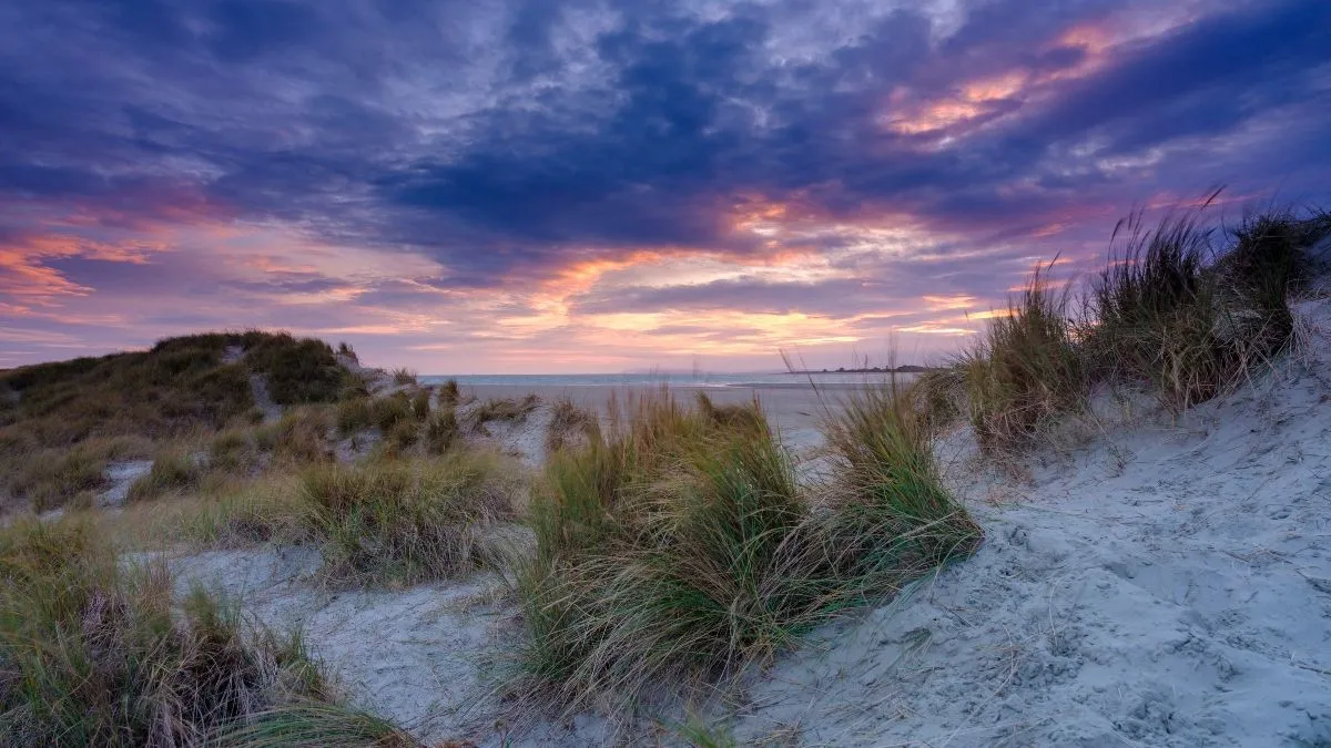 The Calm Short Break: Types of Stay That Feel Restful Fast