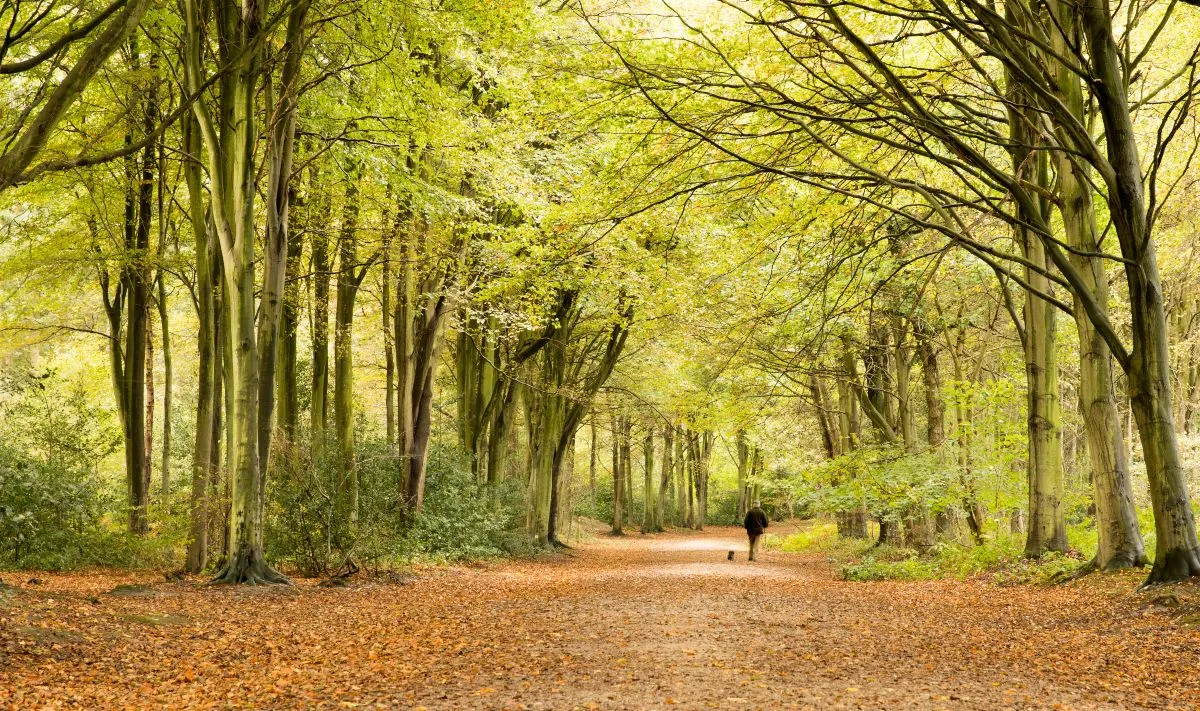 Best Areas for a Short Break in Norfolk (2-3 Nights)